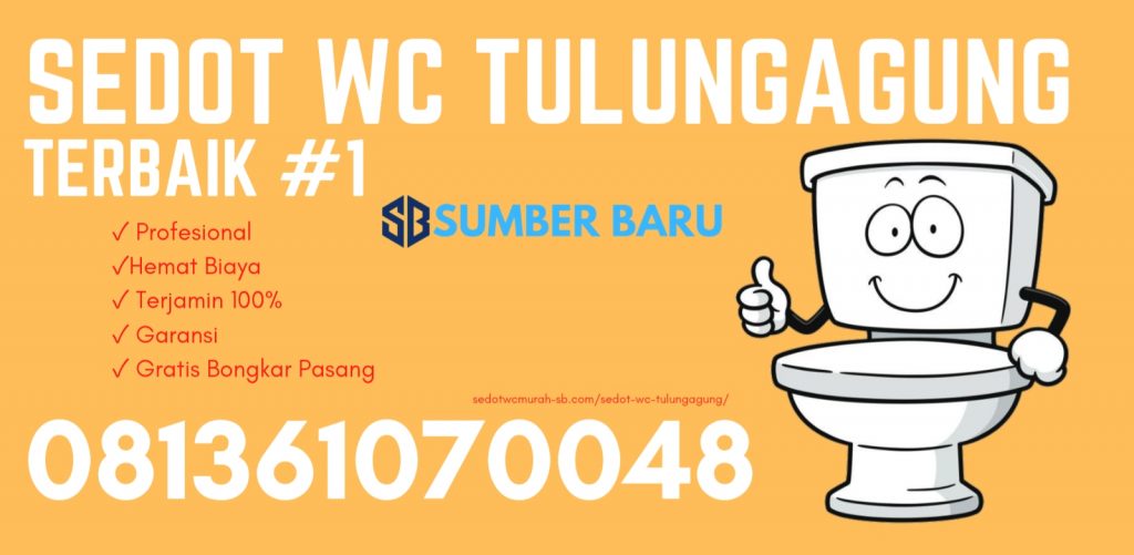 Sedot WC Tulungagung